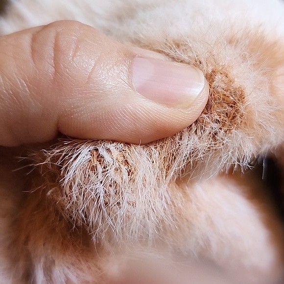 Listicle faux fur cheetah print sweater size M - Picture 9 of 9